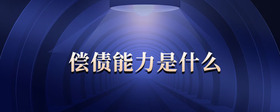 償債能力是什么