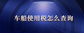 車船使用稅怎么查詢