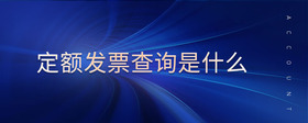定額發(fā)票查詢是什么