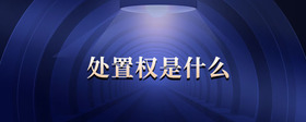 處置權是什么