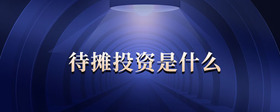 待攤投資是什么