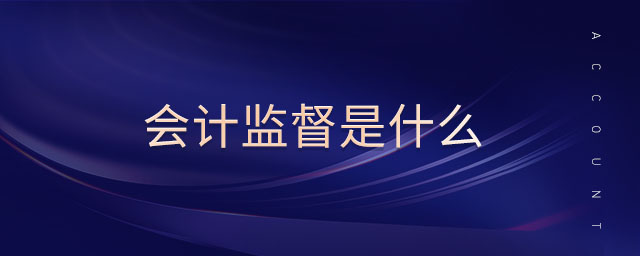 會計(jì)監(jiān)督是什么