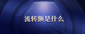 流轉(zhuǎn)額是什么