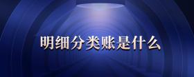 明細(xì)分類(lèi)賬是什么