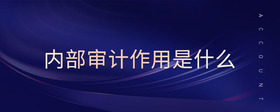 內(nèi)部審計作用是什么