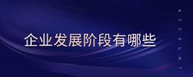 企業(yè)發(fā)展階段有哪些