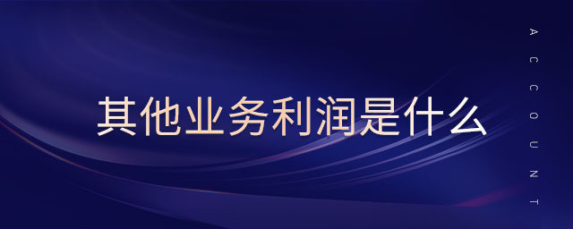 其他業(yè)務(wù)利潤是什么