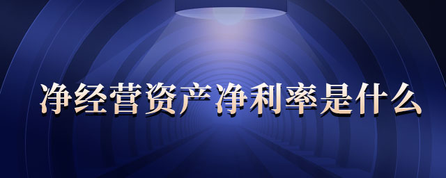 凈經(jīng)營(yíng)資產(chǎn)凈利率是什么