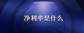 凈利率是什么