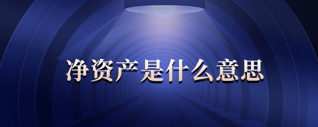 凈資產(chǎn)是什么意思