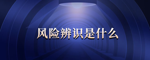 風(fēng)險辨識是什么 