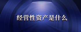 經(jīng)營性資產(chǎn)是什么