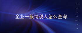 企業(yè)一般納稅人怎么查詢