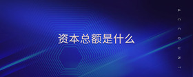 資本總額是什么