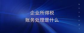 企業(yè)所得稅賬務(wù)處理是什么