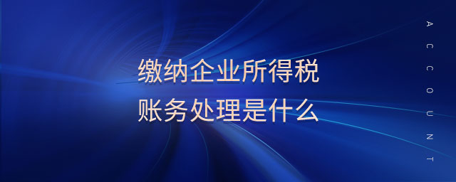 繳納企業(yè)所得稅賬務(wù)處理是什么