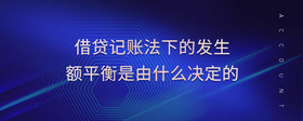 借貸記賬法下的發(fā)生額平衡是由什么決定的