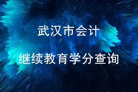 武漢市會計繼續(xù)教育學分查詢