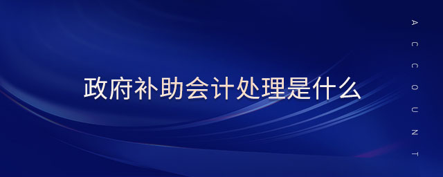 政府補助會計處理是什么