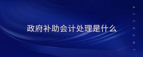 政府補助會計處理是什么