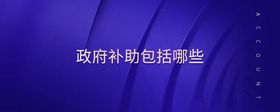 政府補助包括哪些