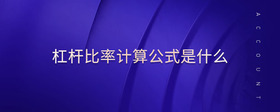杠桿比率計(jì)算公式是什么