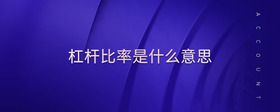 杠桿比率是什么意思