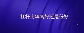 杠桿比率高好還是低好