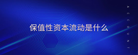 保值性資本流動是什么
