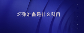 壞賬準備是什么科目