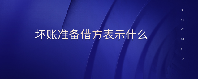 壞賬準備借方表示什么