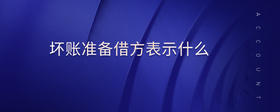 壞賬準備借方表示什么