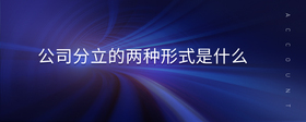 公司分立的兩種形式是什么