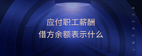 應付職工薪酬借方余額表示什么