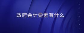 政府會計要素有什么