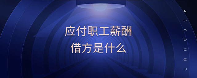 應付職工薪酬借方是什么