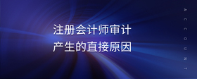 注冊(cè)會(huì)計(jì)師審計(jì)產(chǎn)生的直接原因