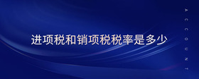進(jìn)項(xiàng)稅和銷項(xiàng)稅稅率是多少