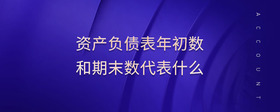 資產(chǎn)負債表年初數(shù)和期末數(shù)代表什么