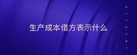 生產(chǎn)成本借方表示什么