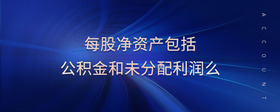 每股凈資產(chǎn)包括公積金和未分配利潤么