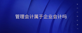 管理會計屬于企業(yè)會計嗎