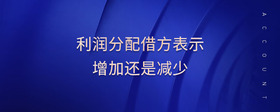 利潤(rùn)分配借方表示增加還是減少