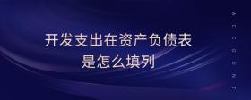 開發(fā)支出在資產(chǎn)負(fù)債表是怎么填列