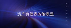 資產(chǎn)負債表的附表是