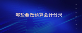 哪些要做預(yù)算會計(jì)分錄