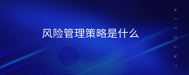風(fēng)險管理策略是什么