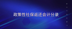 政策性社保返還會計(jì)分錄