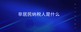 非居民納稅人是什么