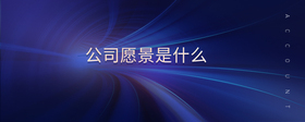 公司愿景是什么